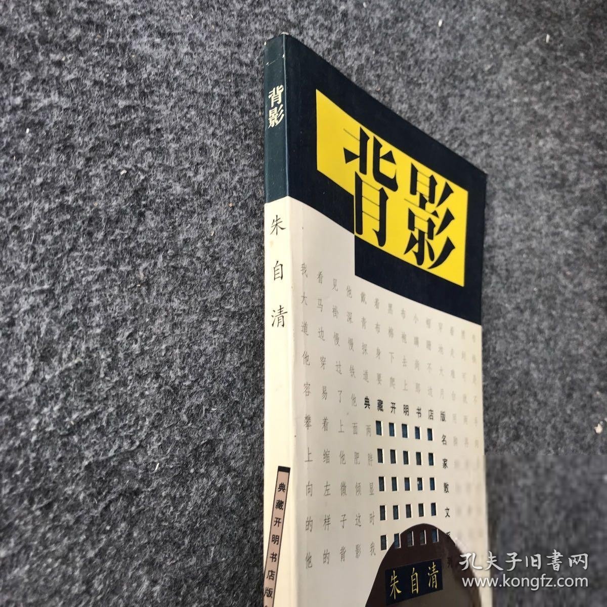 背影：百年百种优秀中国文学图书