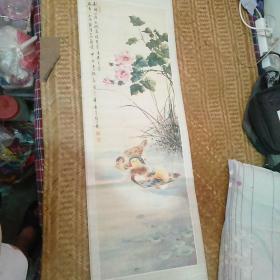 颜伯龙   花鸟奇香(三) 芙蓉鸳鸯