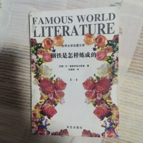 钢铁是怎样炼成的 三册全