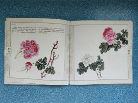 中国画画谱丛书：百花画谱