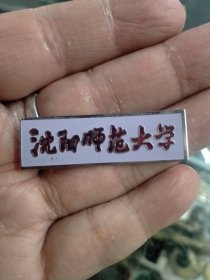 沈阳师范大学