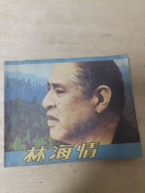 电影连环画册 林海情