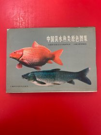 中国淡水鱼类原色图集 第一集