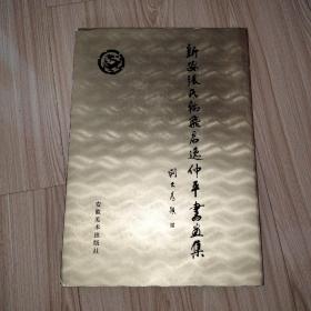 新安张氏翰飞君逸仲平书画集（8开精装+护套，张仲平毛笔2次钤印）