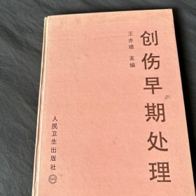 创伤早期处理