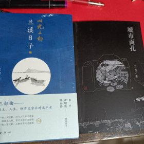 时光三白三部曲（兰溪日子、大雪无雪、去看桃花)及城市面孔共4册