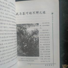 茶海拾贝 赵丈田 著