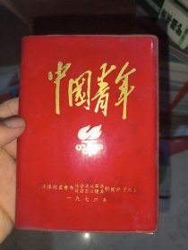 中国青年（菏泽地直青年，社会主义革命，社会主义建设积极分子大会）1976笔记本