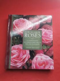 HOW TO GROW ROSES