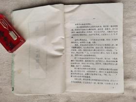 山中有一伙神秘的马帮