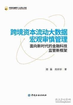 跨境资本流动大数据宏观审慎管理：面向新时代的金融科技监管新框架