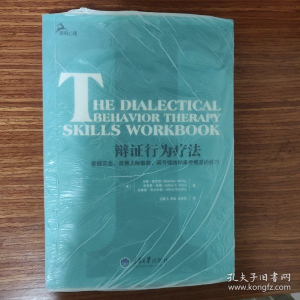 辩证行为疗法：掌握正念、改善人际效能、调节情绪和承受痛苦的技巧