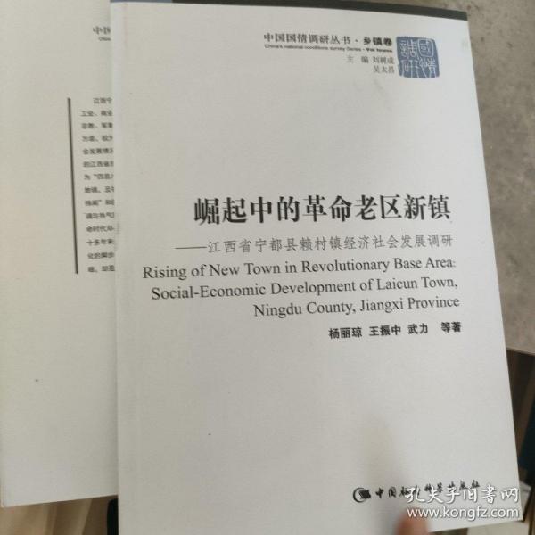 崛起中的革命老区新镇：江西省宁都县赖村镇经济社会发展调研