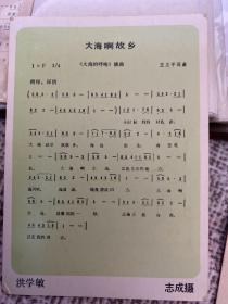 历史资料～一面大海啊故乡歌词卡片另一面洪学敏照片画