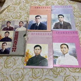 革命领袖的青少年时代（全套四册）