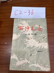 西沙儿女-正气篇