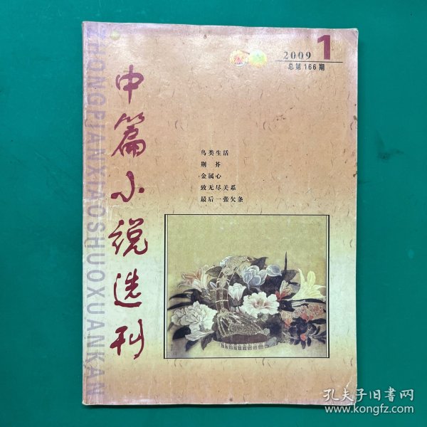 中篇小说选刊2009年1期