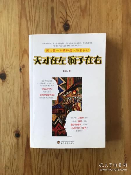 天才在左 疯子在右：国内第一本精神病人访谈手记