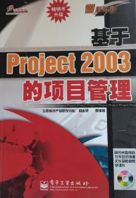 管理专家：基于Project 2003 的项目管理 (一版一印) (无盘)