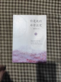 你是我的命中注定（下册）