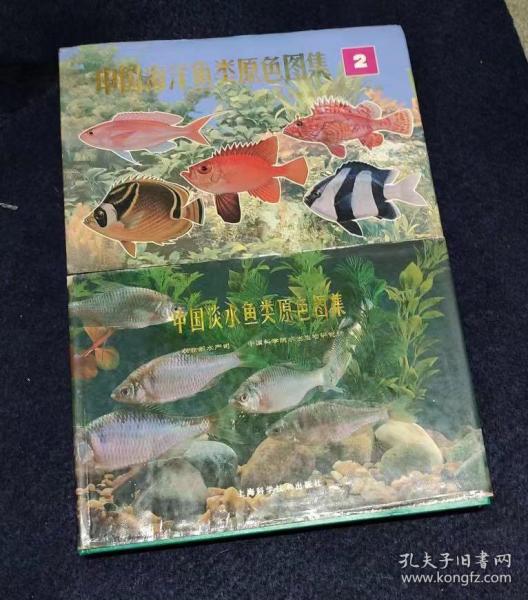 中国淡水鱼类原色图集 2.3