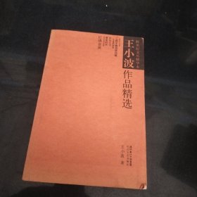 王小波作品精选