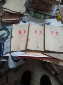 语文（山东省中学课本二年级上下，三年级下）