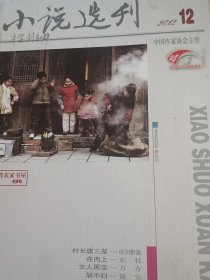 小说选刊2012年第12期