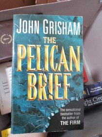 The Pelican Brief 塘鹅暗杀令