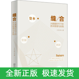 縫合 大數(shù)據(jù)時(shí)代下的資本管理與實(shí)踐