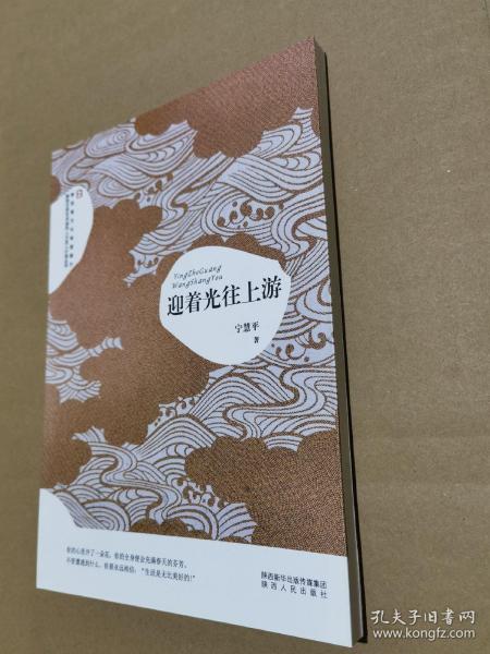 迎着光往上游/陕西省文化和旅游厅陕西文学艺术创作人才百人计划丛书