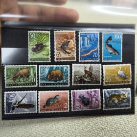南斯拉夫邮票1954年动物猞猁鹿熊鸟类昆虫等 新 12全 背贴 （不确定是不是防伪纤维纸还是被粘了纤维）品相如图，米录150欧