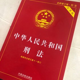 中华人民共和国刑法（实用版）（根据刑法修正案十一修订）
