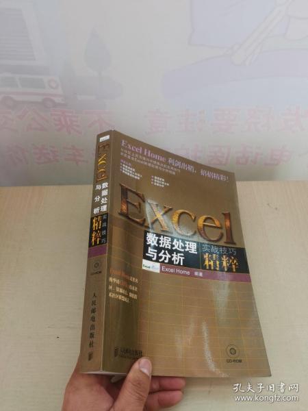 Excel数据处理与分析实战技巧精粹