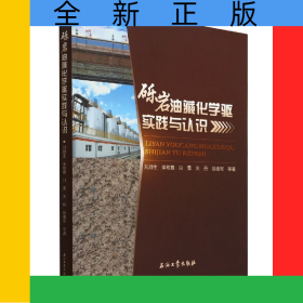 礫巖油藏化學(xué)驅(qū)實(shí)踐與認(rèn)識(shí)