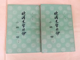 晚清文学丛钞 : 小说一卷（上下）