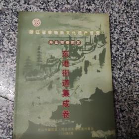 浙江省非物质文化遗产普查：舟山市普陀区白沙乡集成卷等13册合售（勾山街道集成卷有2本重复）Z