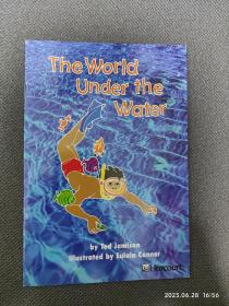 the world under the water