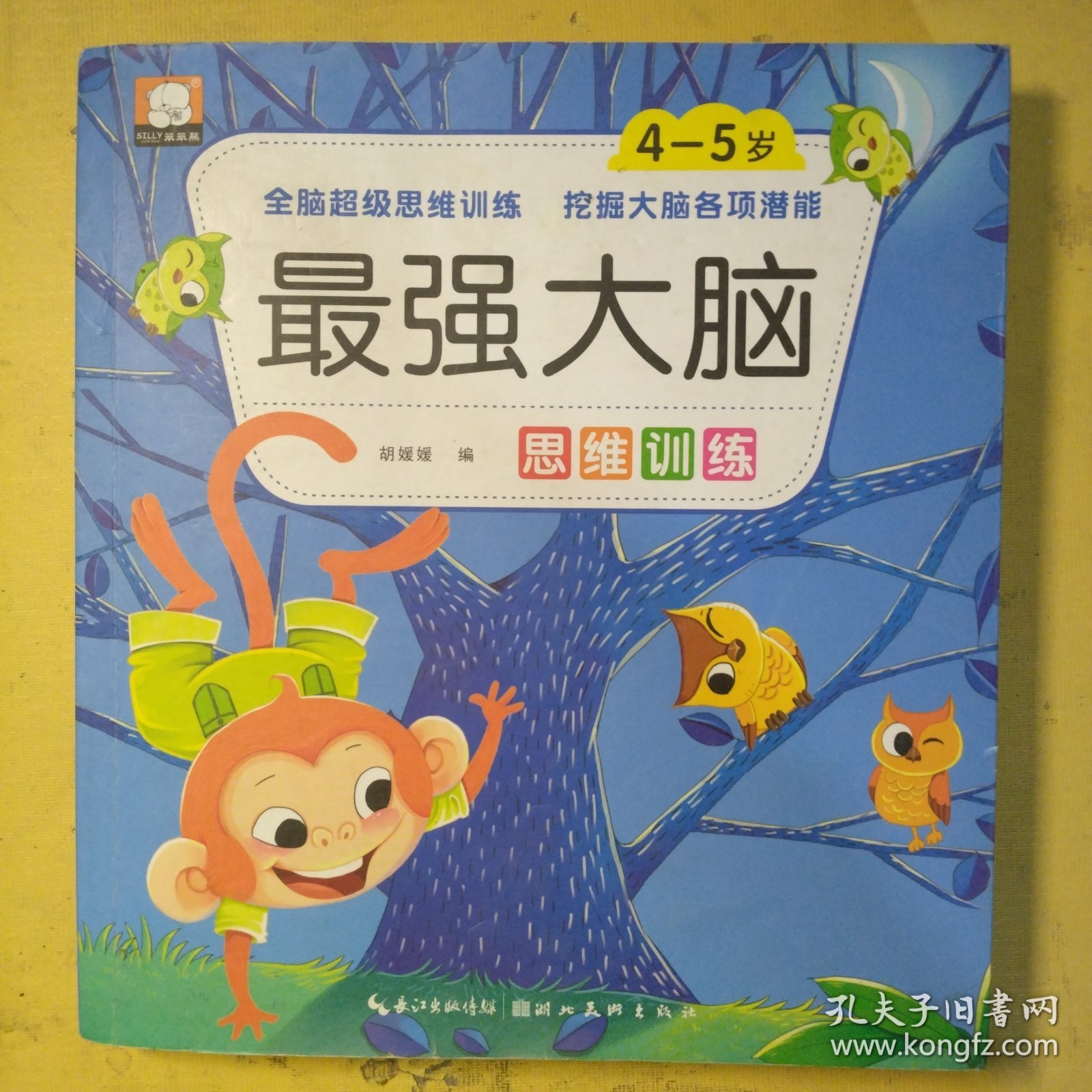 最强大脑 4-5岁