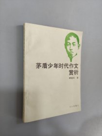 茅盾少年时代作文赏析