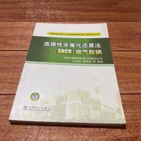 燃煤电站烟气污染物排放控制工程技术丛书：选择性非催化还原法（SNCR）烟气脱硝