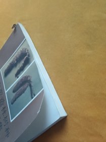 宁夏主要造林树种形态解剖图集