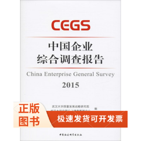 中国企业综合调查报告 2015