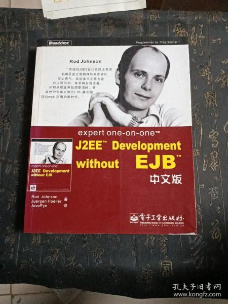 expert one-on-one J2EE Development without EJB 中文版