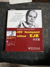 expert one-on-one J2EE Development without EJB 中文版