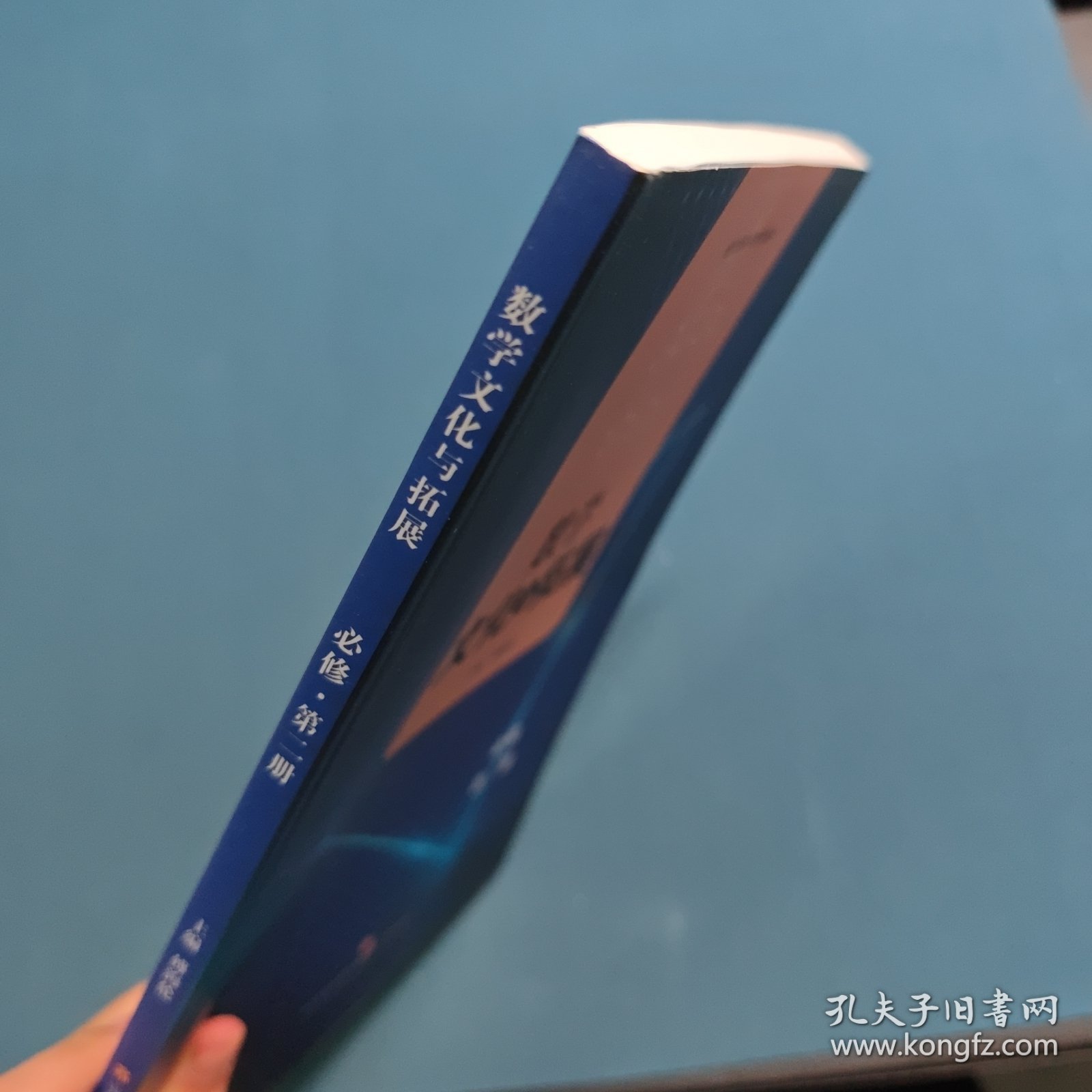 2022数学文化与拓展必修·第二册