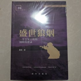 盛世狼烟：一个空军上校的国防沉思录