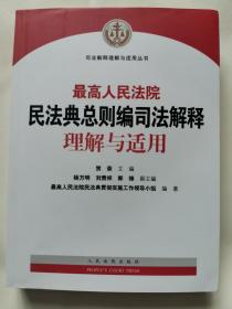 最高人民法院民法典总则编司法解释理解与适用