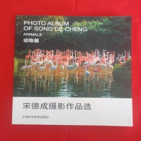 宋德成摄影作品选—动物篇