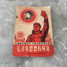 毛泽东思想育英雄